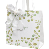 WRAPAHOLIC Medium Eucalyptus Kraft Paper Gift Bag image