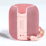 WSTER WS-305 Bluetooth Mini Speaker image