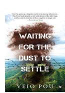 Waiting For The Dust To Settle image