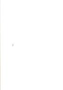 Walking and Jogging for Health and Wellness image