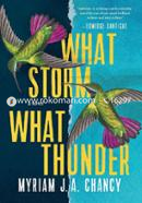 What Storm, What Thunder image