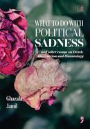 What to Do with Political Sadness: And other Essays on Death, Destruction and Hauntology image