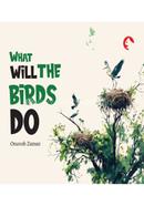 What will the birds do image