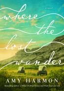Where the Lost Wander image