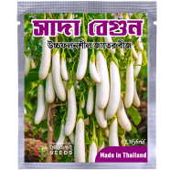 White Brinjal Seed Long (Intack Pack) 0.25 gm image