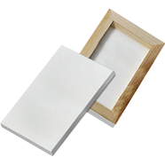 White Canvas 6x8 inch