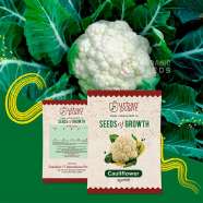 White Cauliflower Seeds image
