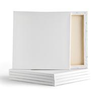 White Ptemium Canvas 12/12 image
