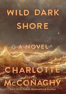 Wild Dark Shore image