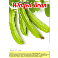 Winged Bean 5 gm icon