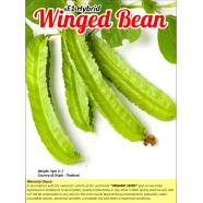 Winged Bean 5 gm image