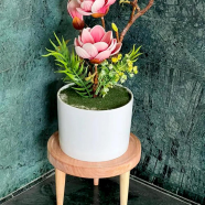 Wooden plant stand 8 inches, solid mahogany wood icon