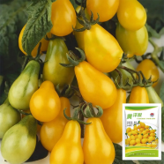 Yellow Pear Cherry Tomato Seeds - High Yield, Disease Resistant, Indeterminate, Sweet Fruits for Garden Planting image