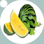Yellow Watermelon Bonsai Seeds image