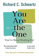 You Are the One You’ve Been Waiting For image