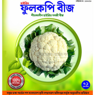বারোমাসি হাইব্রিড ফুলকপি বীজ ১ গ্রাম