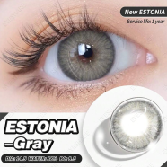  Ksseye Estonia Gray Color Contact Lens with Lens Kit Box image
