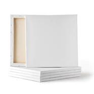 White Canvas 14x14 inch image