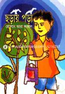 Choray Pora image