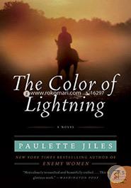 The Color of Lightning: A Novel image