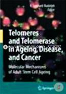 Telomeres And Telomerase In Ageing, Disease, And Cancer: Molecular Mechanisms Of Adult Stem Cell Ageing image