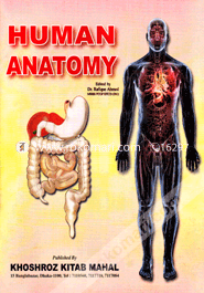 Human Anatomy image