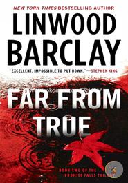 Far From True (Promise Falls Trilogy) image