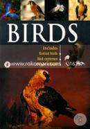 Birds image