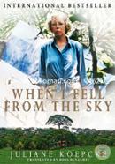 When I Fell from the Sky image