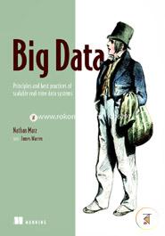 Big Data: Principles and best practices of scalable realtime data systems image