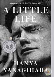 A Little Life image