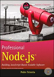 Professional Node.js: Building Javascript Based Scalable Software image