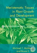 Meristematic Tissues in Plant Growth and Development image