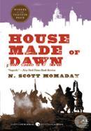 House made of down image