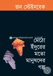 মেঠো ইঁদুরের মতো মানুষদের গল্প (পুরস্কারপ্রাপ্ত লেখকদের বই)