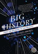 Big History: From the Big Bang to the Present image