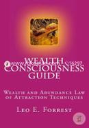 Wealth Consciousness Guide: Wealth and Abundance Law of Attraction Techniques image