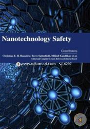 Nanotechnology Safety image