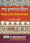History of the Muslims in Spain image