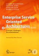 Enterprise Service Oriented Architectures image