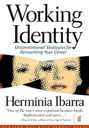 Working Identity: Unconventional Strategies for Reinventing Your Career image