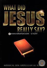 What Did Jesus Really Say image