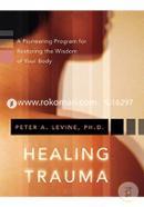 Healing Trauma: A Pioneering Program for Restoring the Wisdom of Your Body image