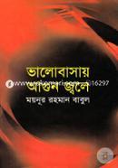 Bhalobashay Agun Jhole image