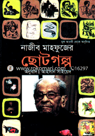 Najib Mahfujer Chotogolpo image