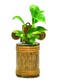 Bamboo Wall Hanging Plant Tob (PC-7214) image