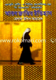Arob Jatir Itihash image