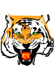 বাঘ image