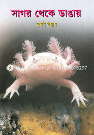 সাগর থেকে ডাঙায়