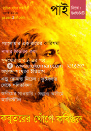 পাই জিরো টু ইনফিনিটি - জুলাই ‘ ১৩